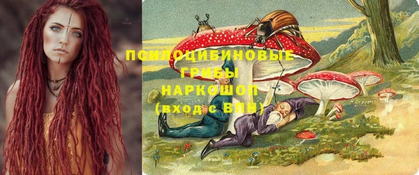 спиды Россошь