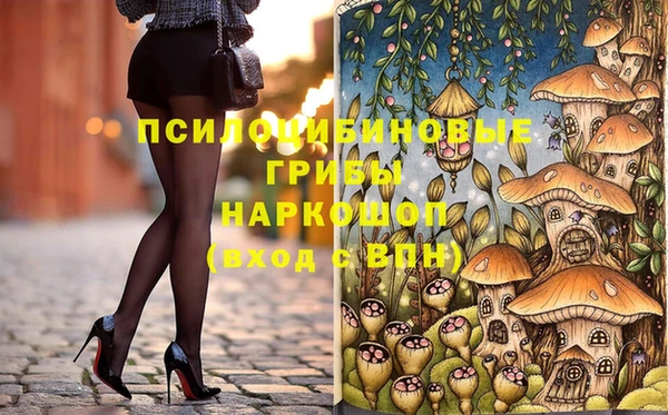 apvp Рославль