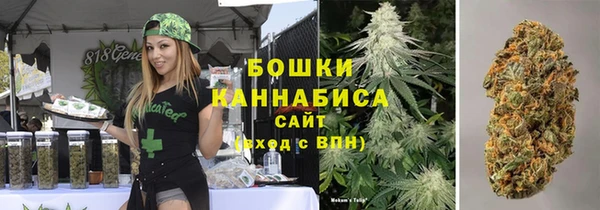 apvp Рославль